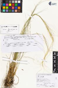 SW_BNB_s3070-05201_IMG-0000000001