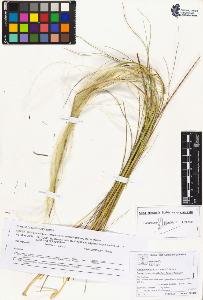 SW_BNB_s3070-05204_IMG-0000000001
