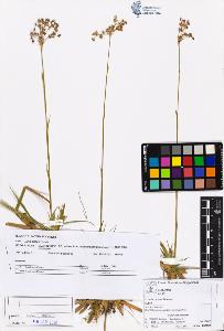SW_BNB_s3070-05224_IMG-0000000001