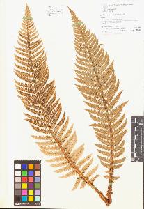 SW_BNB_s3070-05226_IMG-0000000001