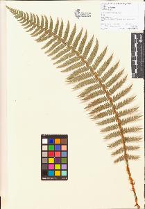SW_BNB_s3070-05230_IMG-0000000001