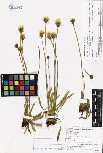 SW_BNB_s3070-05234_IMG-0000000001