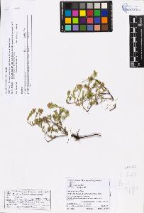 SW_BNB_s3070-05237_IMG-0000000001
