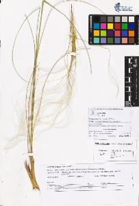 SW_BNB_s3070-05243_IMG-0000000001