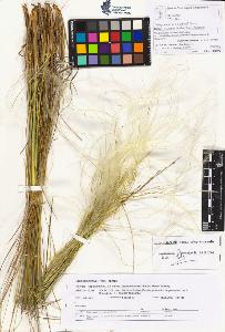 SW_BNB_s3070-05245_IMG-0000000001