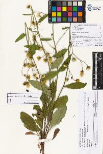 SW_BNB_s3070-05246_IMG-0000000001