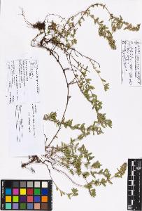 SW_BNB_s3070-05250_IMG-0000000001