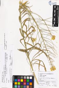 SW_BNB_s3070-05254_IMG-0000000001