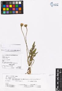 SW_BNB_s3070-05257_IMG-0000000001