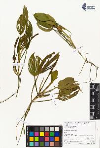 SW_BNB_s3070-05261_IMG-0000000001