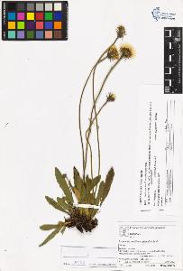SW_BNB_s3070-05265_IMG-0000000001