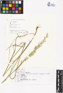 SW_BNB_s3070-05270_IMG-0000000001