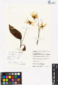 SW_BNB_s3070-05274_IMG-0000000001