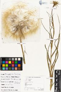 SW_BNB_s3070-05275_IMG-0000000001
