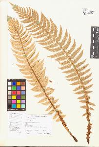 SW_BNB_s3070-05279_IMG-0000000001
