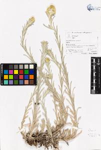 SW_BNB_s3070-05284_IMG-0000000001