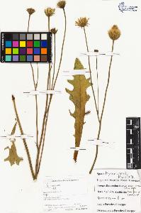 SW_BNB_s3070-05285_IMG-0000000001