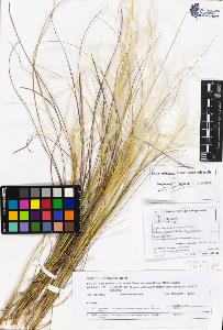 SW_BNB_s3070-05287_IMG-0000000001