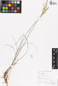 SW_BNB_s3070-05288_IMG-0000000001