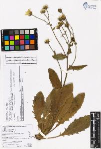 SW_BNB_s3070-05299_IMG-0000000001