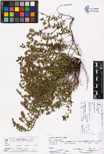 SW_BNB_s3070-05300_IMG-0000000001