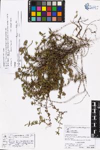 SW_BNB_s3070-05306_IMG-0000000001