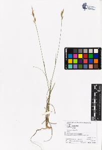 SW_BNB_s3070-05308_IMG-0000000001