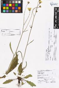 SW_BNB_s3070-05312_IMG-0000000001