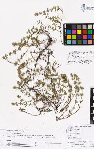SW_BNB_s3070-05317_IMG-0000000001