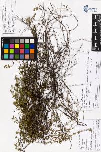SW_BNB_s3070-05318_IMG-0000000001