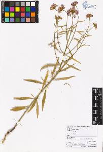 SW_BNB_s3070-05321_IMG-0000000001