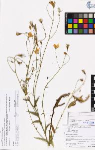 SW_BNB_s3070-05325_IMG-0000000001