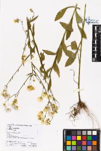 SW_BNB_s3070-05328_IMG-0000000001