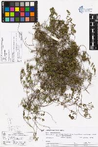 SW_BNB_s3070-05331_IMG-0000000001