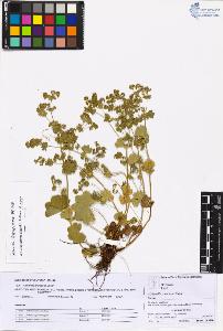 SW_BNB_s3070-05332_IMG-0000000001
