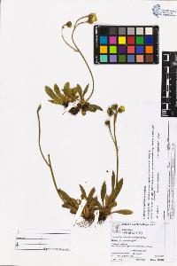 SW_BNB_s3070-05335_IMG-0000000001