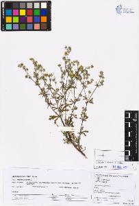 SW_BNB_s3070-05337_IMG-0000000001