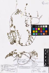 SW_BNB_s3070-05339_IMG-0000000001