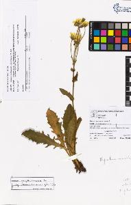 SW_BNB_s3070-05341_IMG-0000000001