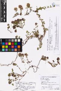 SW_BNB_s3070-05344_IMG-0000000001