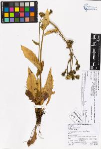 SW_BNB_s3070-05346_IMG-0000000001