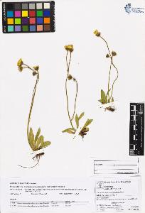 SW_BNB_s3070-05347_IMG-0000000001