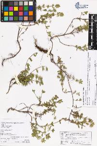 SW_BNB_s3070-05348_IMG-0000000001