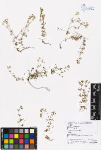 SW_BNB_s3070-05349_IMG-0000000001