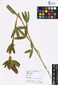 SW_BNB_s3070-05353_IMG-0000000001