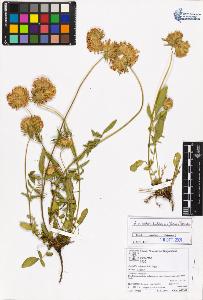 SW_BNB_s3070-05363_IMG-0000000001