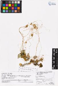 SW_BNB_s3070-05365_IMG-0000000001