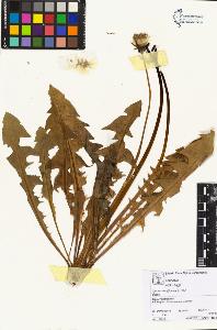 SW_BNB_s3070-05367_IMG-0000000001