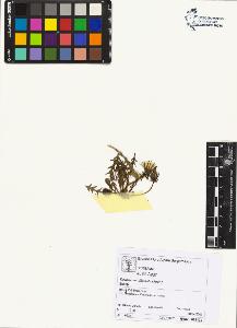 SW_BNB_s3070-05368_IMG-0000000001