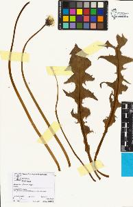 SW_BNB_s3070-05369_IMG-0000000001